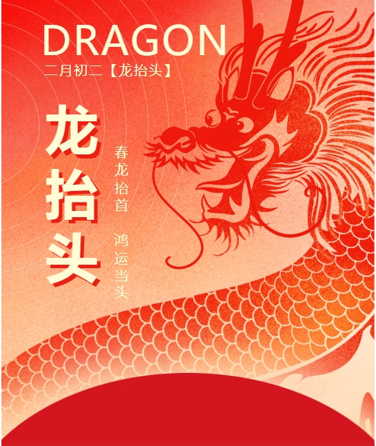 二月二龍?zhí)ь^，春龍振翅鴻運啟 —— 佳木斯網(wǎng)云信息科技有限公司與您共迎新春盛景